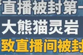 笑麻了！网红熊猫灵岩一甩臀舞让直播间被封10分钟！评论区笑疯！图片