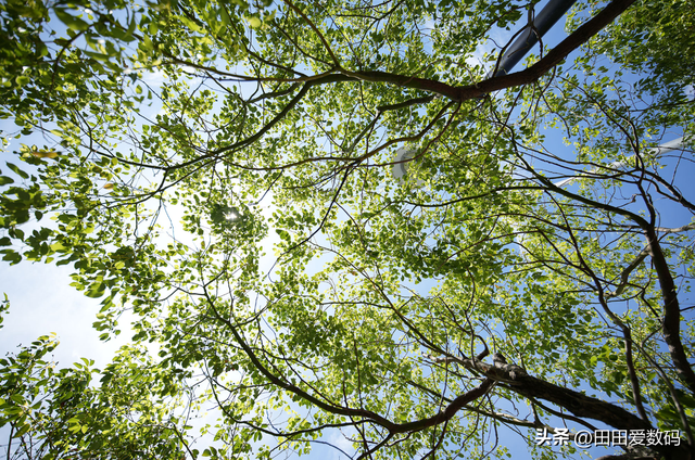 Tamron 16-30mm F2.8 G2 评测！