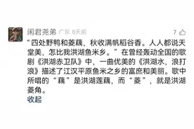 蔡甸藕、洪湖藕，你为谁打call？双城寻藕记→图片