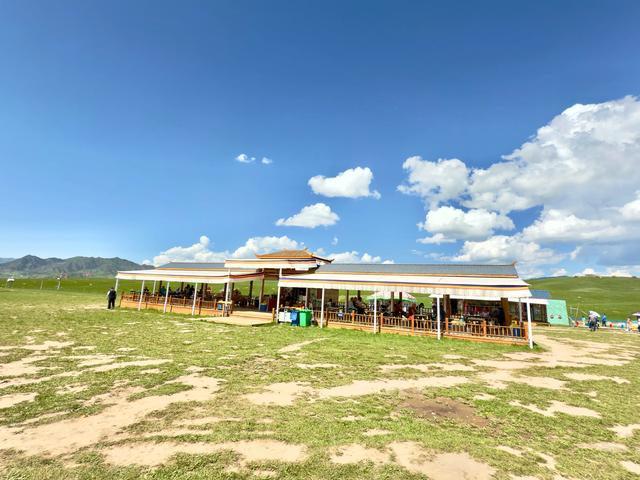 绿野寻梦（甘南州夏河县桑科草原）