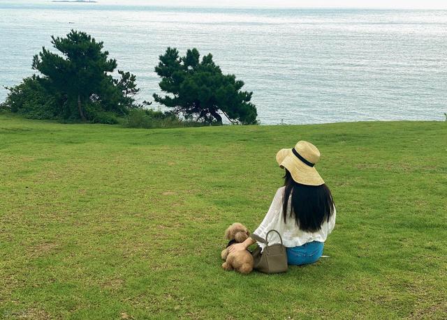 全部免费！青岛0元看海，赏无敌海景，青岛7处免费看海地不可错过