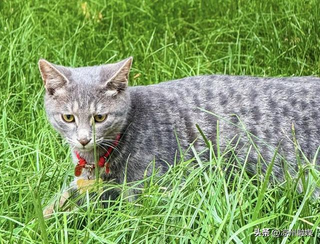 怎么才算“爱你老己”？来武威，用一场citywalk读懂凉州