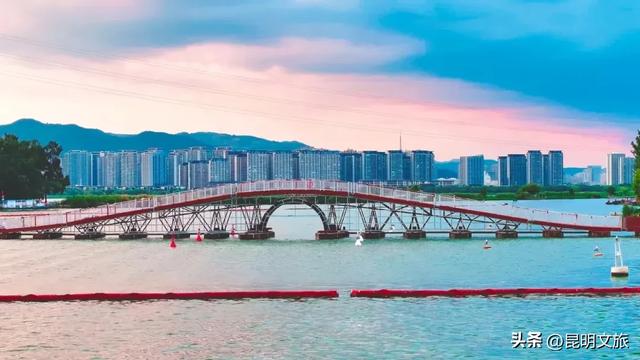 一半鸥气,一半锅气!立冬赴昆暗号:追完红嘴鸥就来顿火锅!下班就去~