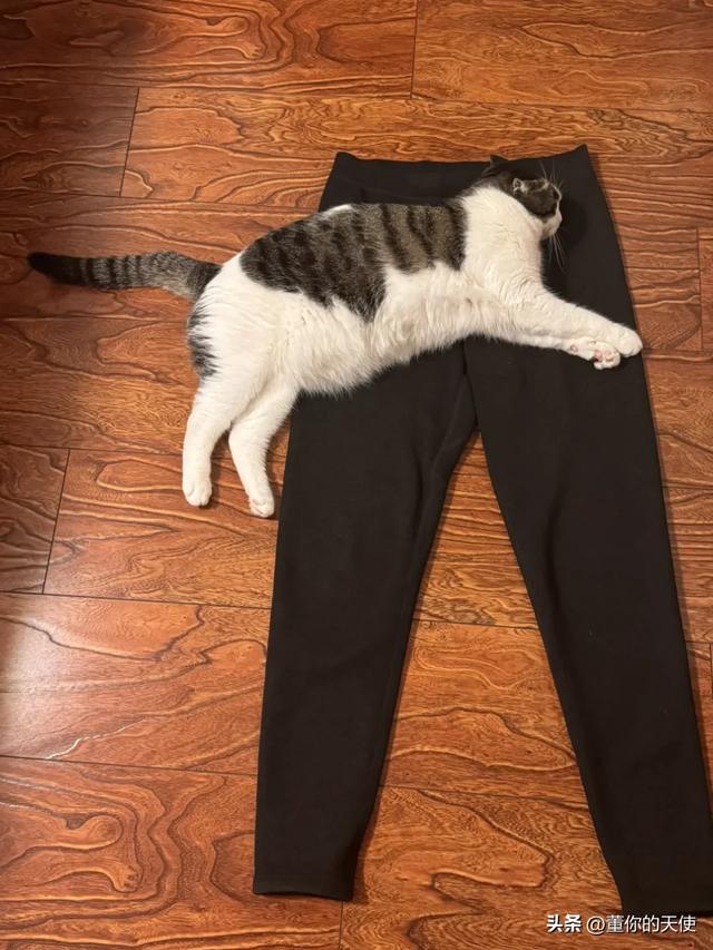 寒冬去信阳一趟,第二天一早我赶紧“跑”了:信阳菜再好也不待了