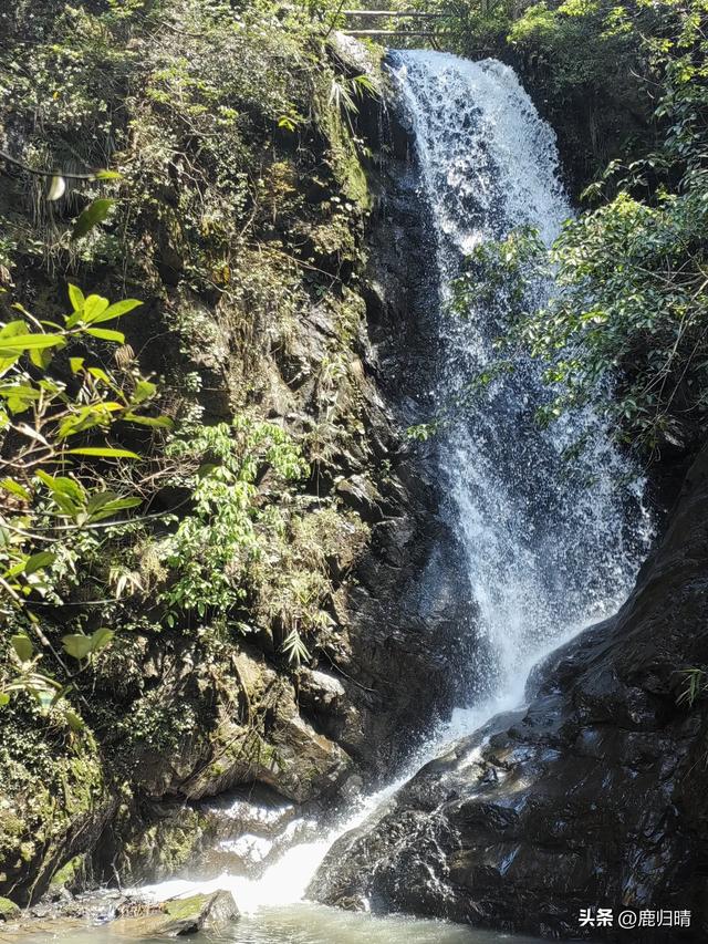 深圳马峦山看瀑布攻略（夏天避暑必去榜）