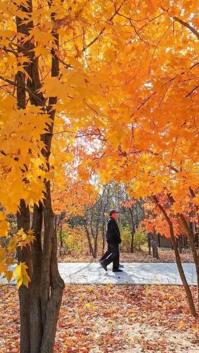 梅水知秋：一城风景半城诗 金色梅河游玩攻略