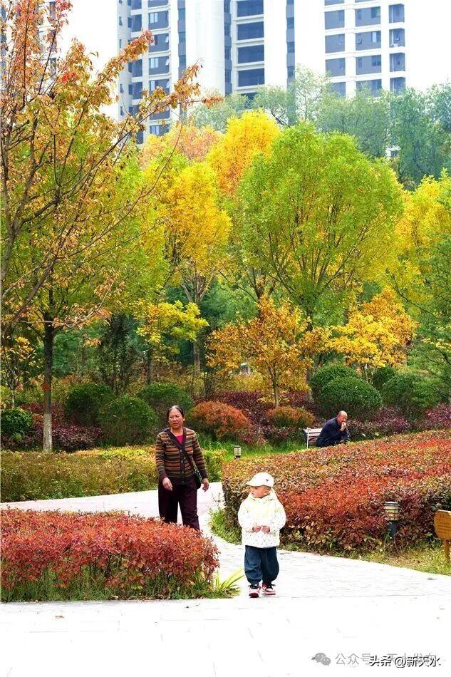天水弘文园秋景美翻了，快去打卡！