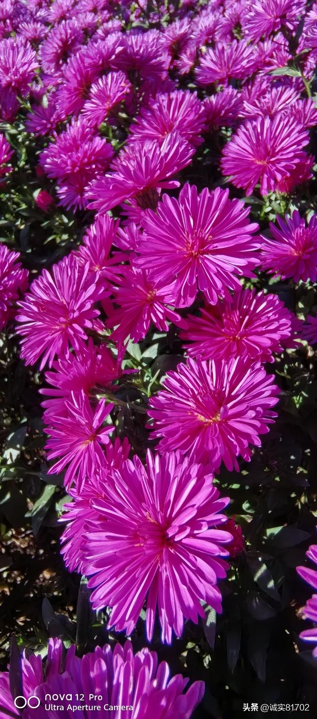 过年找搭子，出门去旅游