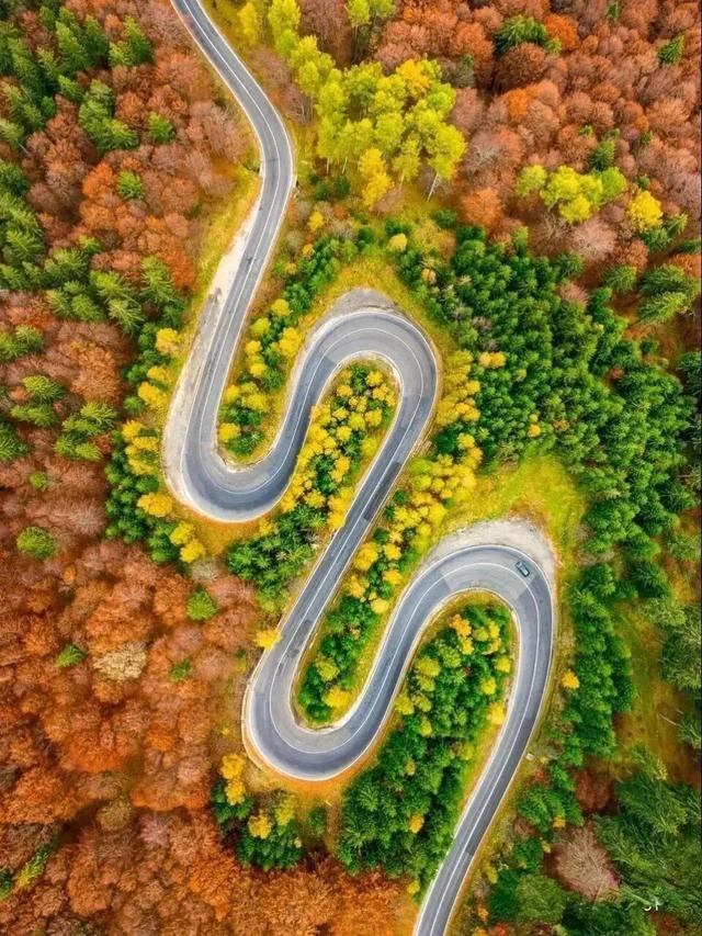 太洋公路已通车！去黄柏塬赏秋现在就出发！