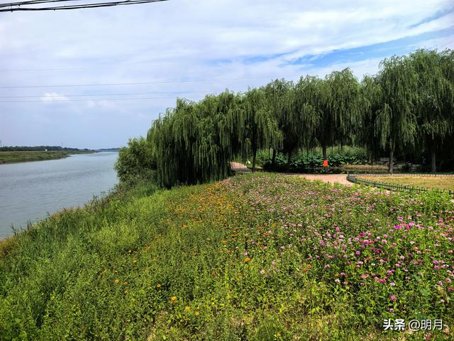 都说禹城好风光之徒骇河风光