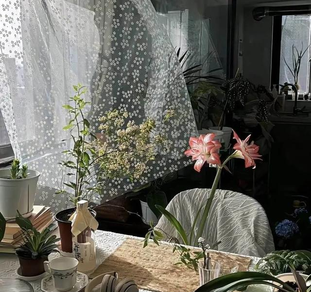 两性之间，很容易聊出感情的30个话题