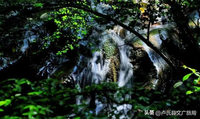 【文旅医养】卢氏的夏天，是山水和人间烟火的浪漫