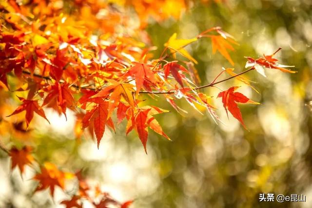 久等了！红透啦！