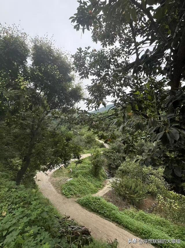 在邹平上回村可以攀爬摩诃峰，但俺没爬，俺买了农家菜打了山泉水