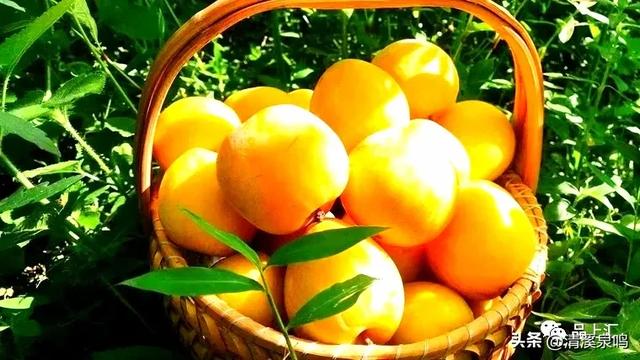 莲华山居隐诗意
