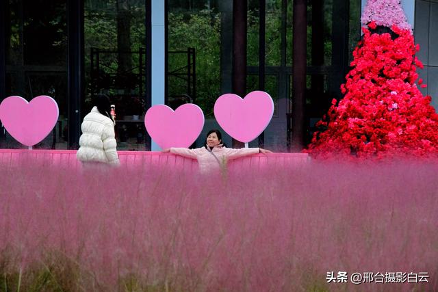 达活泉公园最美秋色（图）