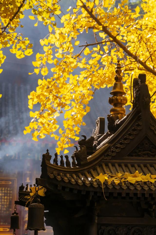 收藏一个秋天,石景山绝美秋色大公开