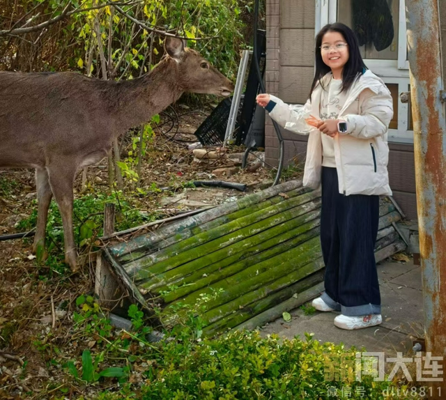 三刷大连！被“反向安利”的感觉太棒了