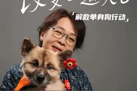 前央视著名主持人：做动物保护，改变世道人心图片