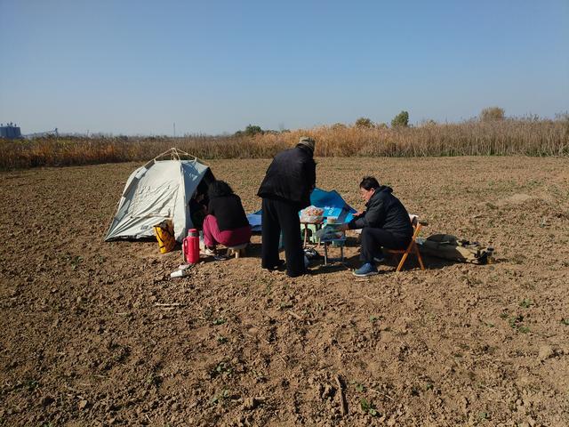 淮上小岛一日记游
