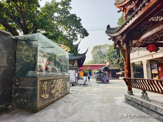 四川行(75)广汉②金雁湖公园·黑塔街·龙居寺