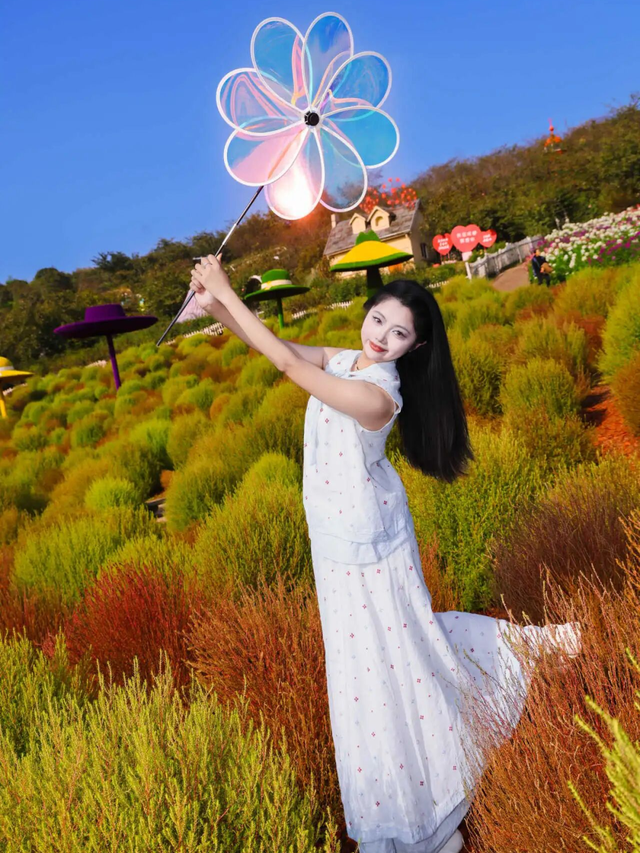 15万株绽放醉美菊花展，成都又美爆了！