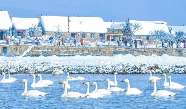 畅游威海·首站荣成 | 全省推广！快启程，住进世界级渔村的童话海草房