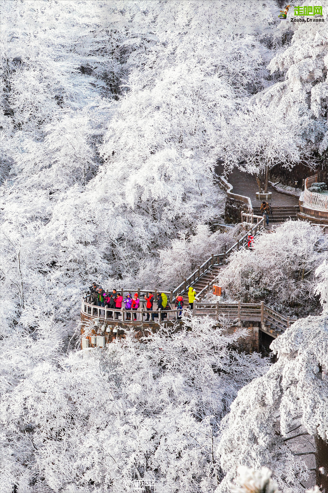 强烈建议12-2月走起的8条路线！北上赏雪南下避寒，选一条出发吧
