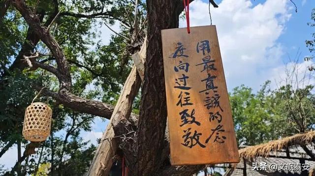 跟着节气游泰安 | 上班慌了？别怕！寒露后的泰安治愈你的“假期结束焦虑症”！