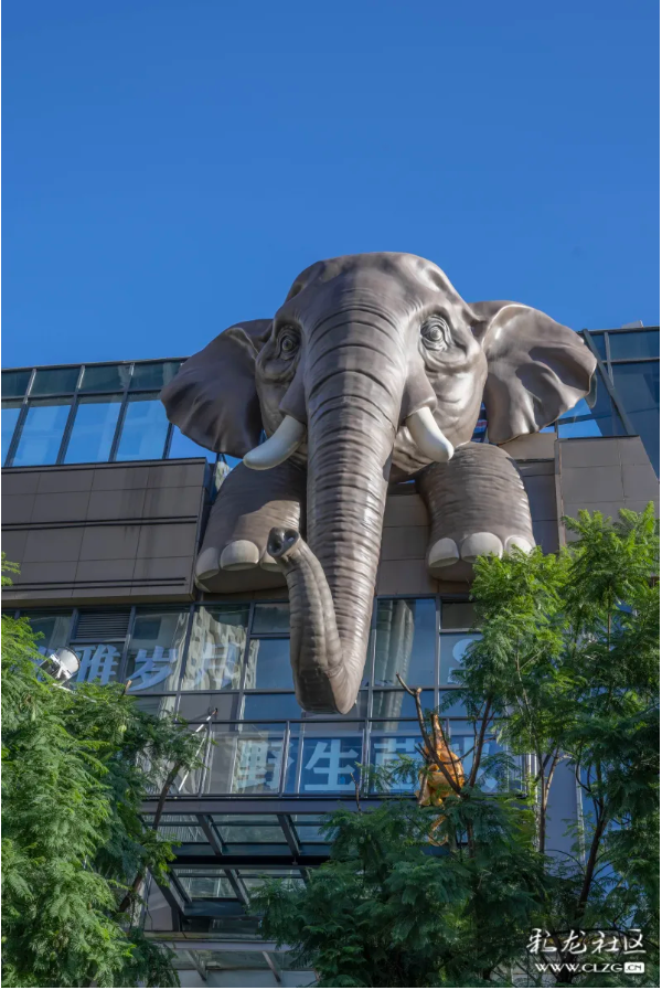 旅居云南·昆明好在（二十七）漂亮街景打卡点，成为游客心头好