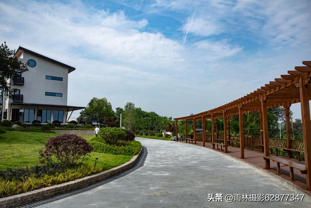 六指街绿茵民宿欢迎你来打卡！