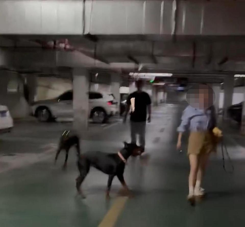 丹阳烈犬扑童后续:受害者全家遭威胁,女子身份不简单,难怪嚣张(图4) 丹阳烈犬扑童后续:受害者全家遭威胁,女子身份不简单,难怪嚣张(图4)