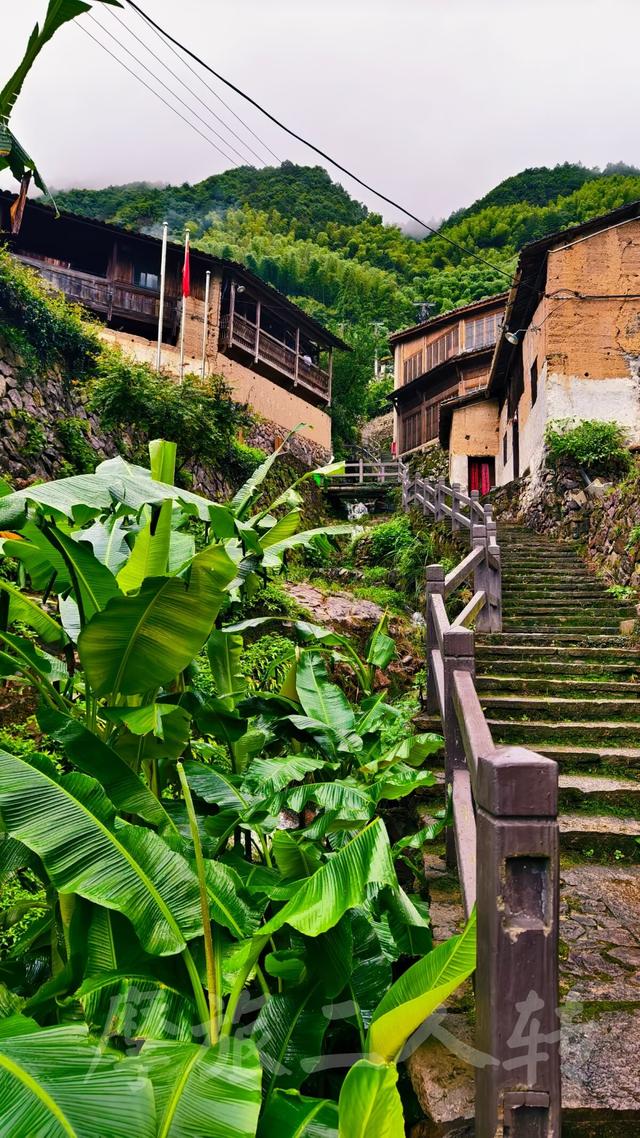皖浙摩旅二人转——松阳横坑村篇（下）