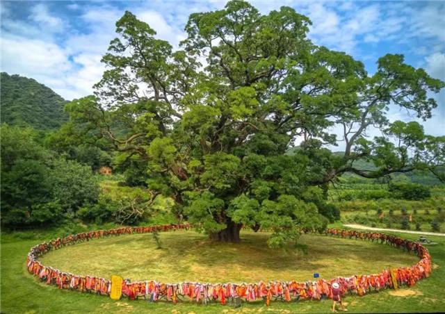 【线路产品】问道崆峒 康养平凉
