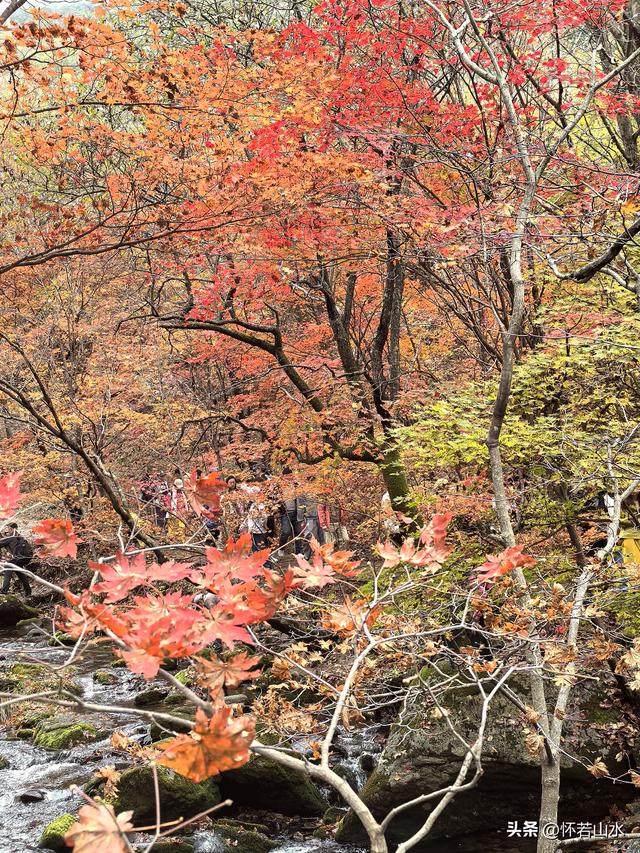 2025辽宁赏秋之旅日记(3)——游览洋湖沟和老边沟