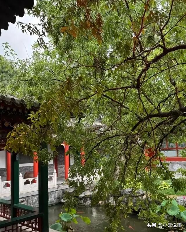 李湘终于晒出北京小院，古色古香似现实版大观园