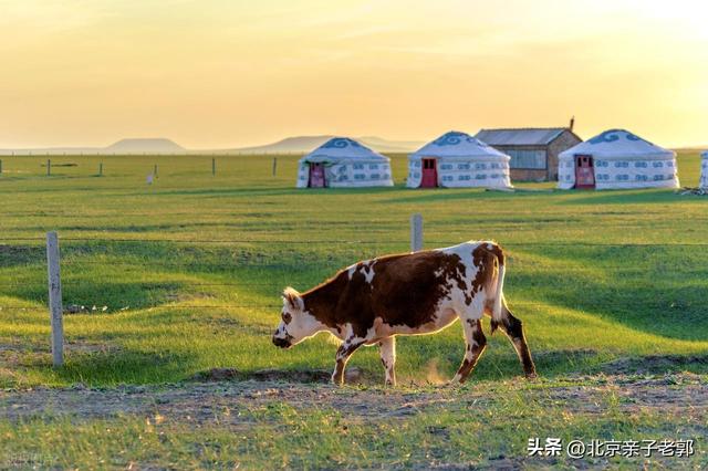 达达线经典自驾路线，解锁人少景美的秋日童话