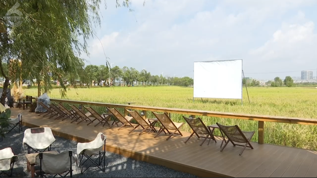 在昆明，藏着冬日里独有的松弛角落