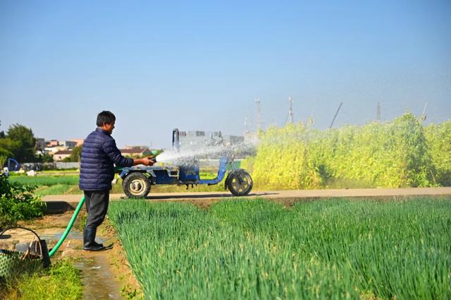 石碣好 “景”！拥抱生态绿地，感受田园风光~