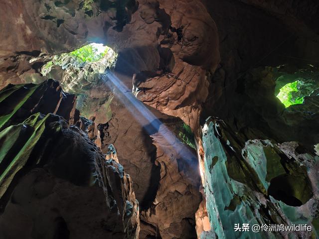 马来西亚(32)砂拉越州⑥世界遗产尼亚洞窟探险