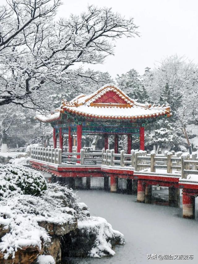 【乐游烟台】紧急通知！在烟台挖到春节王炸小城→