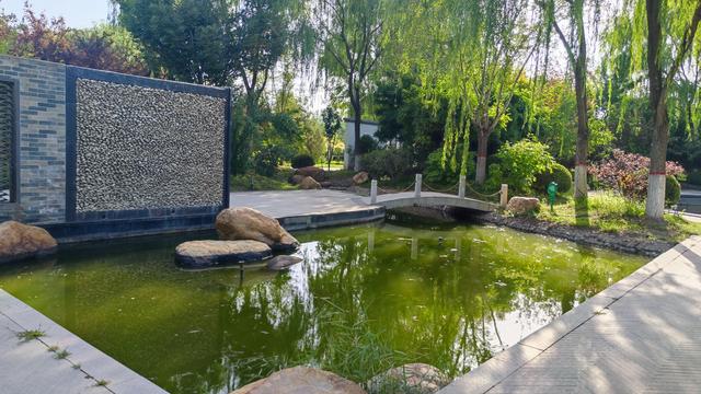 银川花博园真的好大，好大，是我见过的最大的花园