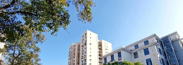 数字如何普惠民生？中国通服这样安排！