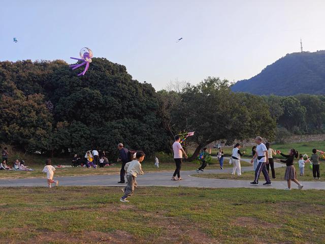 我花 700 多买了一二手「小众手机」，却学会了「放下手机」