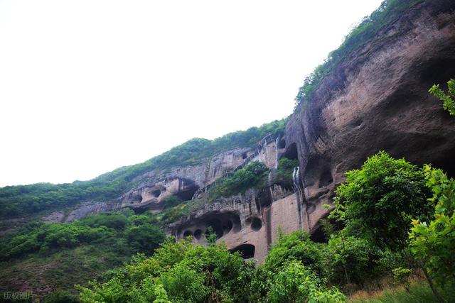 550万株正开！藏在安徽旷野上的郁金香花海，多彩又免费，可露营