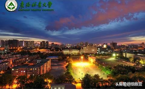 黑龙江10所大学！分数低实力强，2025考生捡漏