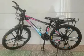 厉害了，天津飞鸽自行车荣耀国礼图片