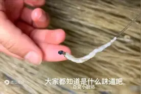 家里有粉条的留意，用水泡一泡，出现这种情况不建议再吃，涨知识图片