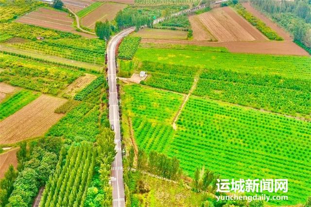 黄河一号旅游公路平陆段：层林尽染黄河岸