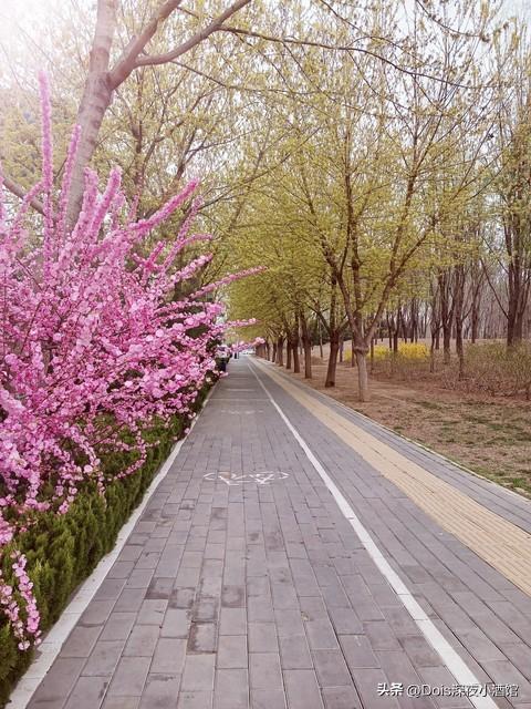中国各地冷知识——廊坊（河北）篇